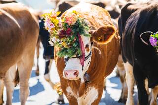 Zwischen Kultur und Tradition